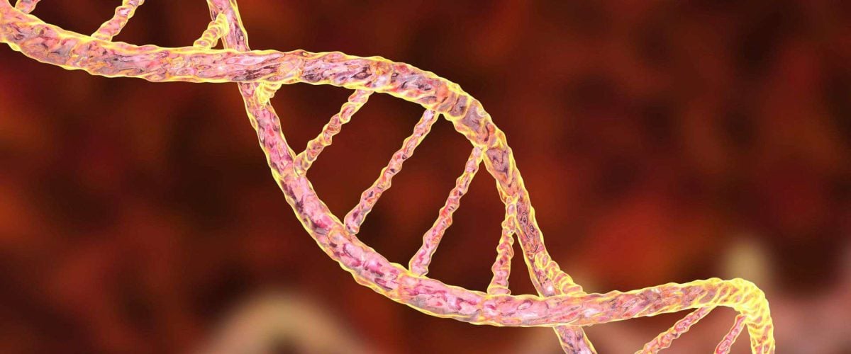Exploring the Causes of Celiac Disease Genetic Environmental and Unexpected Triggers