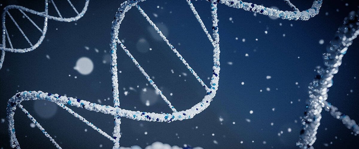 dna-strand